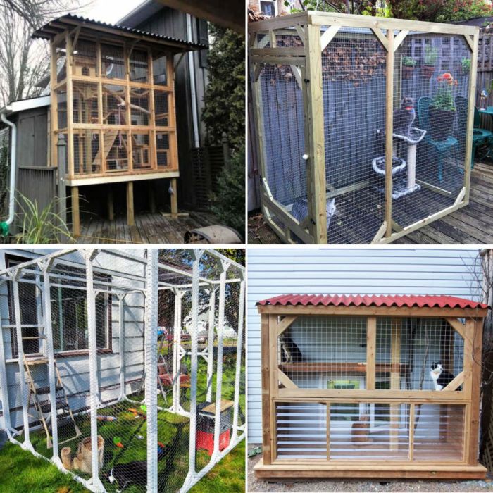 Diy catio plans