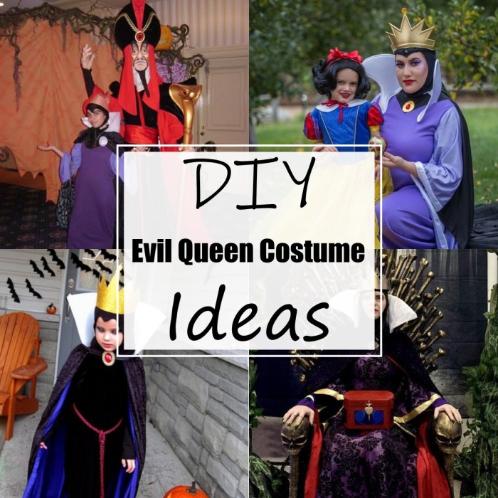 Diy evil queen costume