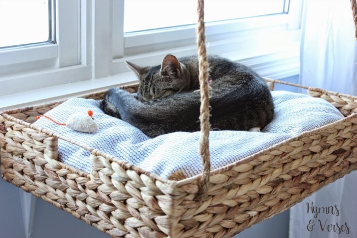 Diy cat beds