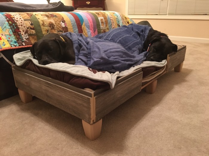 Diy dog bed frame