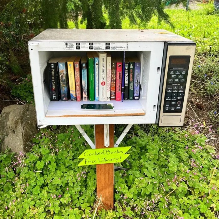 Diy little free library