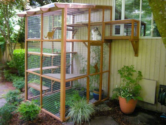 Diy catio plans