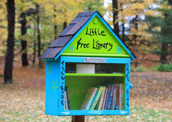 Diy little free library