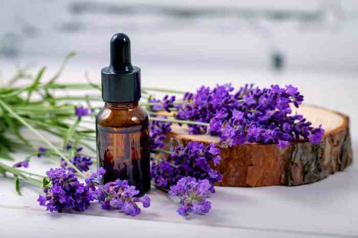 Diy lavender essential oil